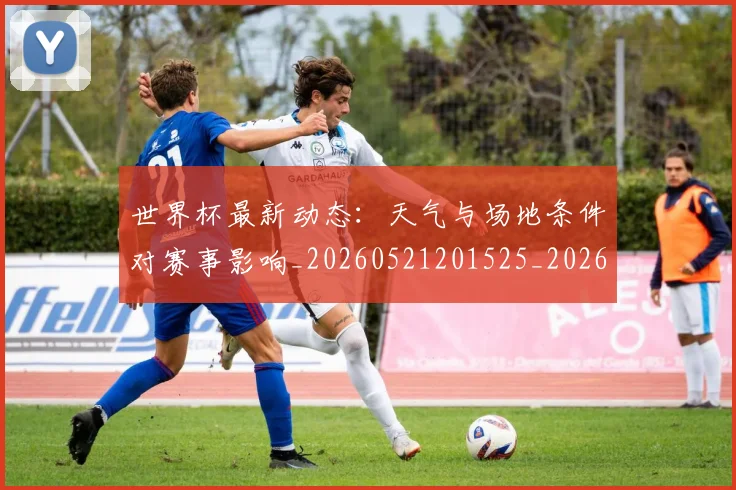 世界杯最新动态：天气与场地条件对赛事影响_20260521201525_20260607160345